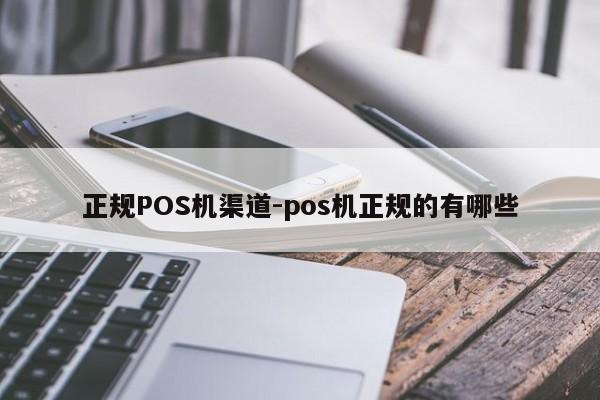荣县正规POS机渠道-pos机正规的有哪些
